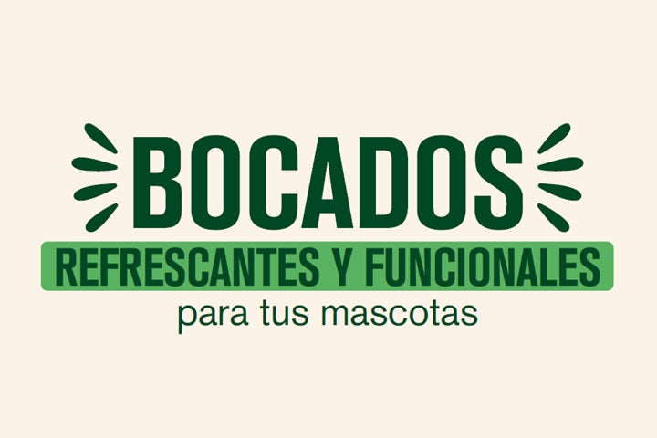 BOCADOS NATURALES PARA EL MAL ALIENTO
