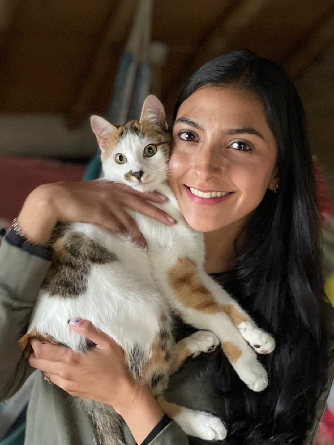 ¿CÓMO TRANSICIONAR A TU GATO A UNA ALIMENTACIÓN NATURAL?