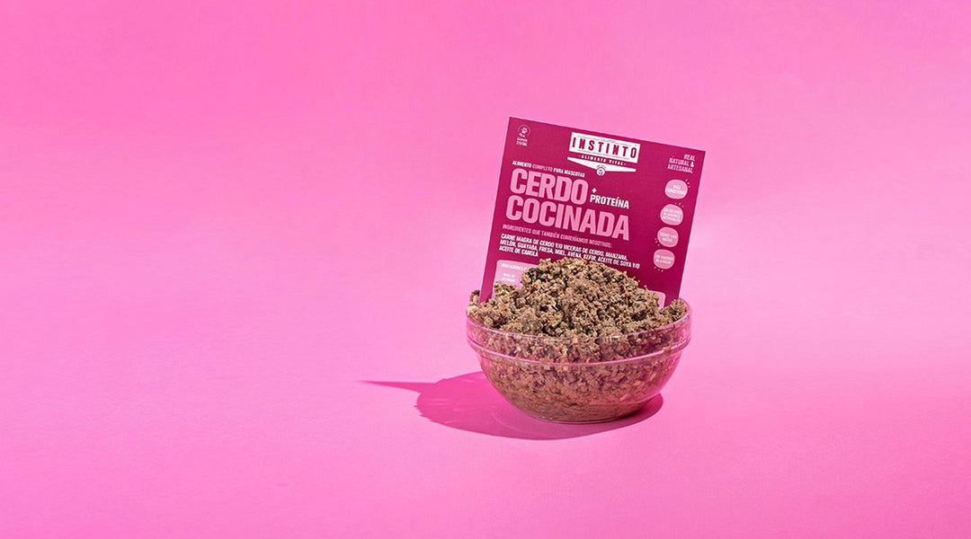 Dietas Cocinadas para Perro