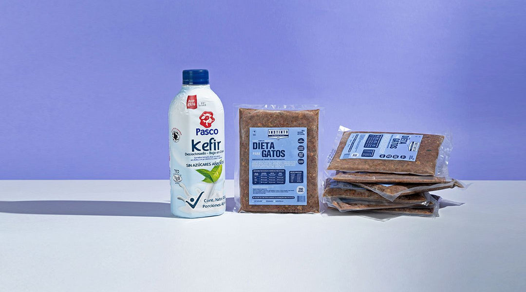 Kits de Iniciación para Gatos