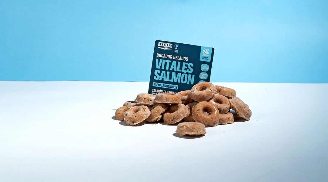Snacks para Gatos