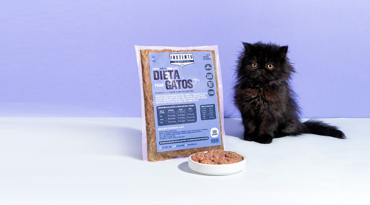 Comida Natural para Gatos