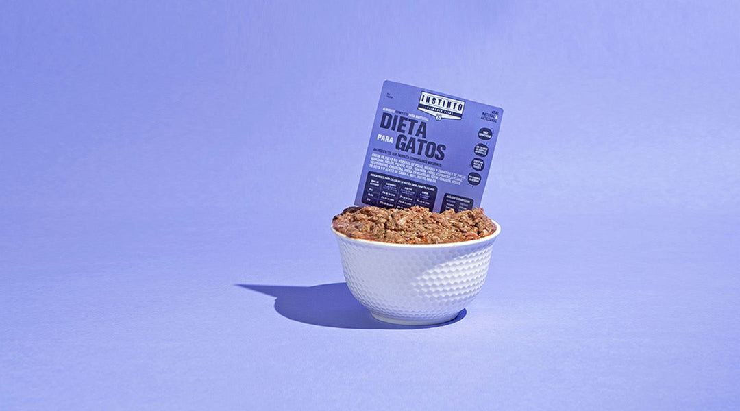 Dietas para Gatos
