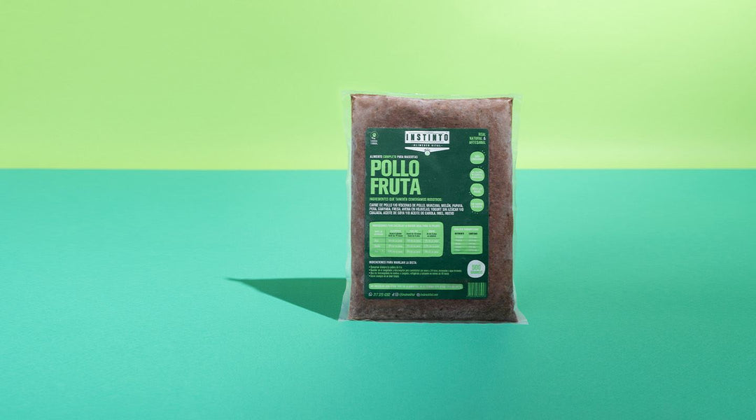 Dietas para Perros