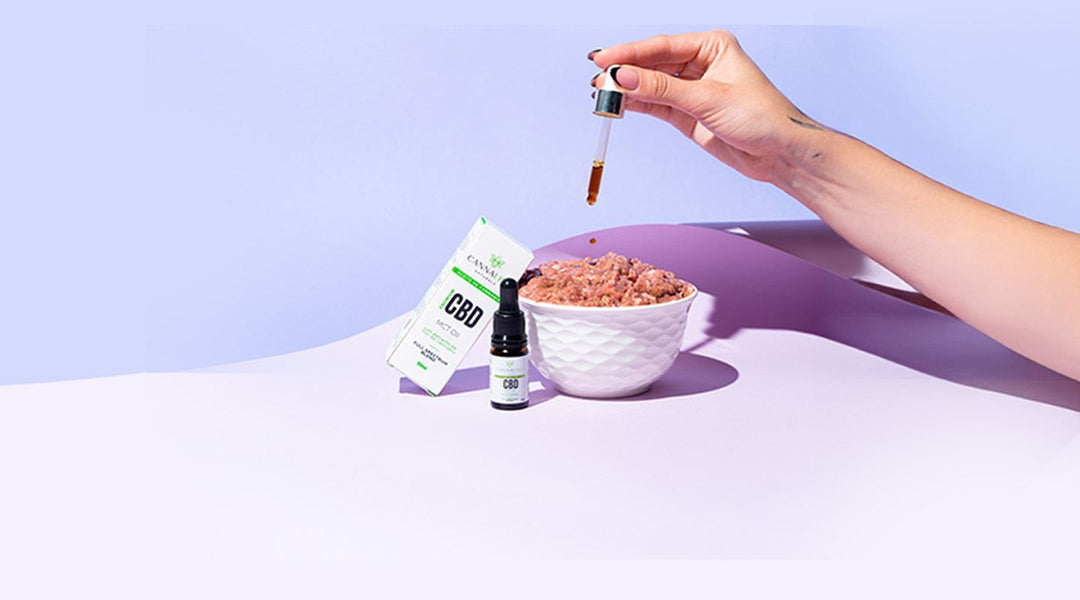 Complemento Alimenticio para Perros