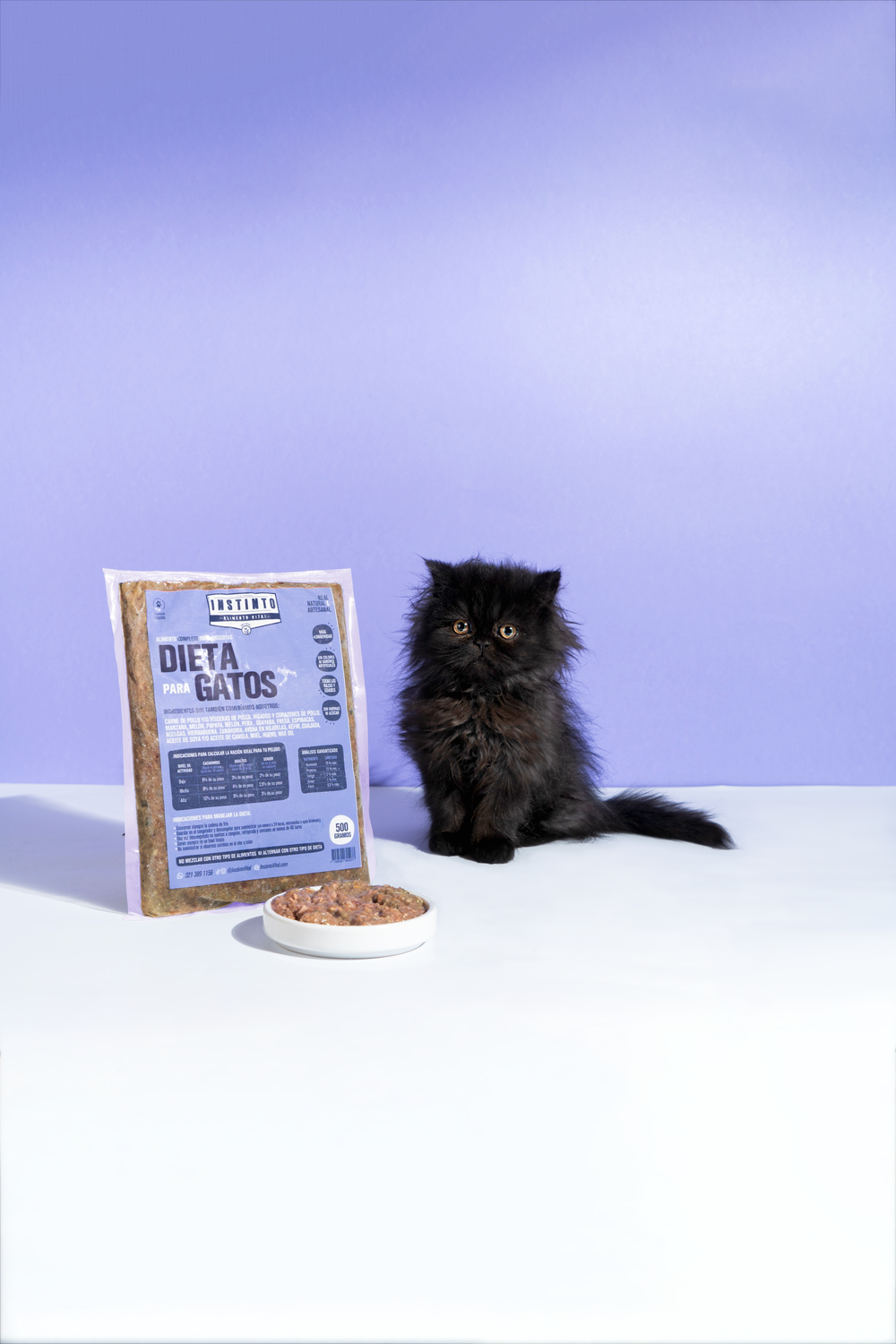 Dieta Instinto Gatos