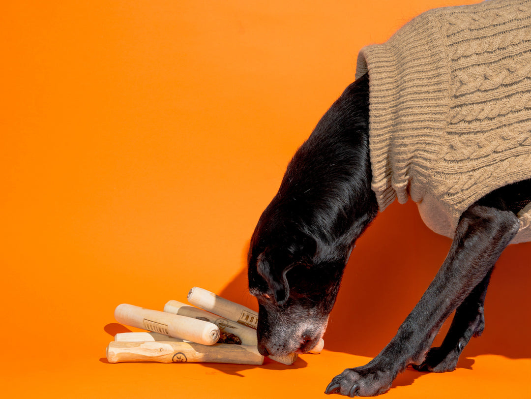 Palito de Café para Perros y Gatos