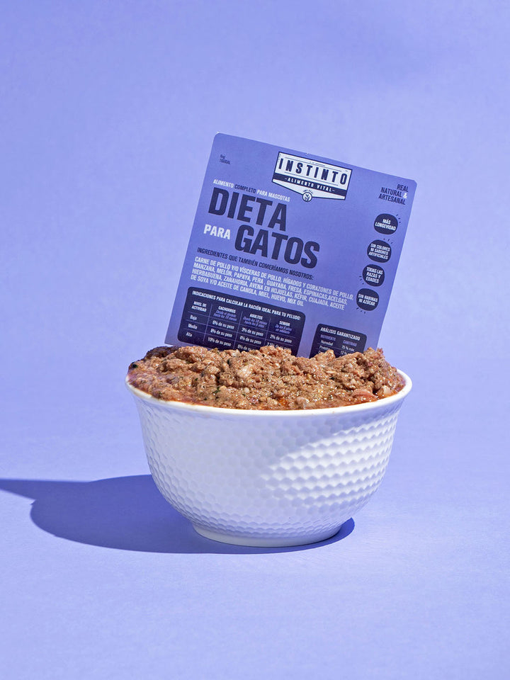 Dieta Instinto Gatos