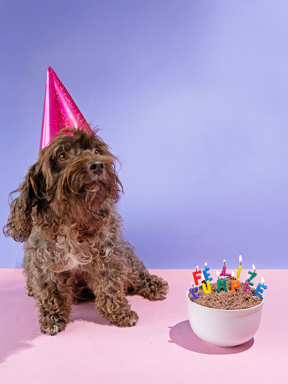 Dieta Instinto Perros